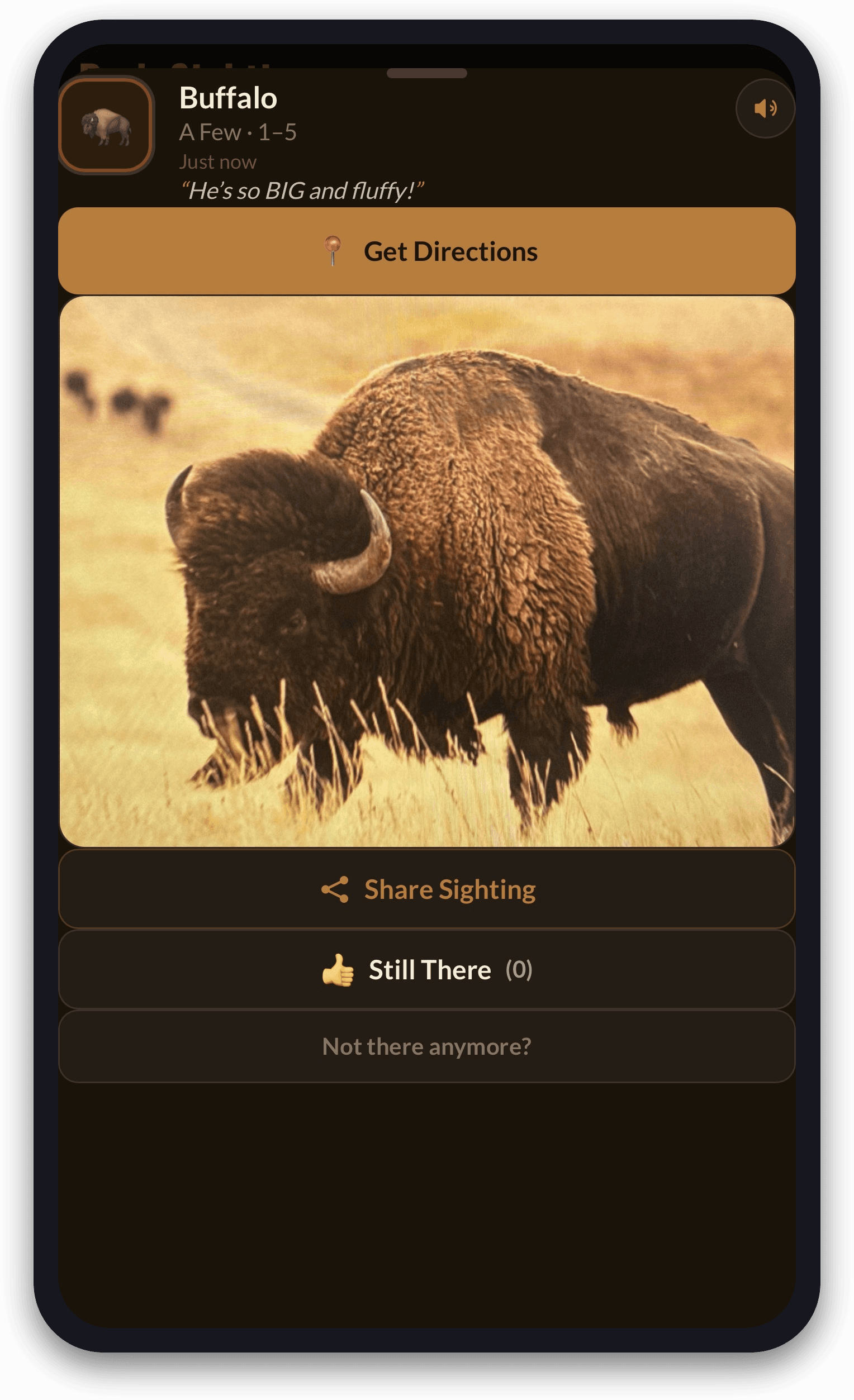 Full sighting card — photo, group size, and how long ago it was spotted.
